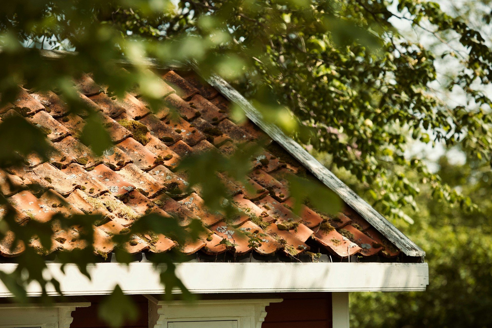 Navigating Insurance Claims for Roof Damage: What You Need to Know